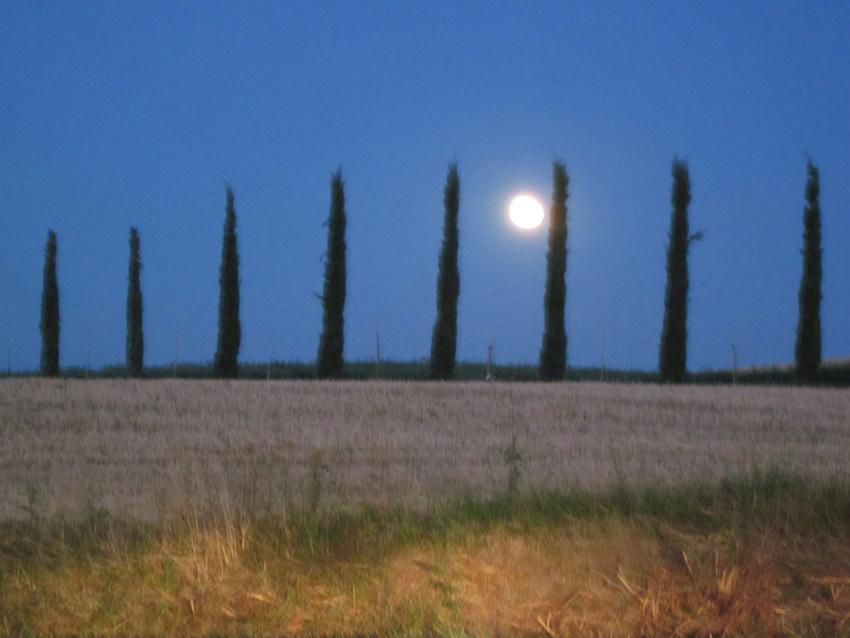 Agriturismo Torrenieri Da Alessandro П'єнца Екстер'єр фото